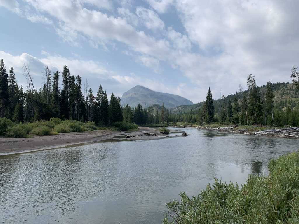 The West Yellowstone Angler - The West Yellowstone Angler